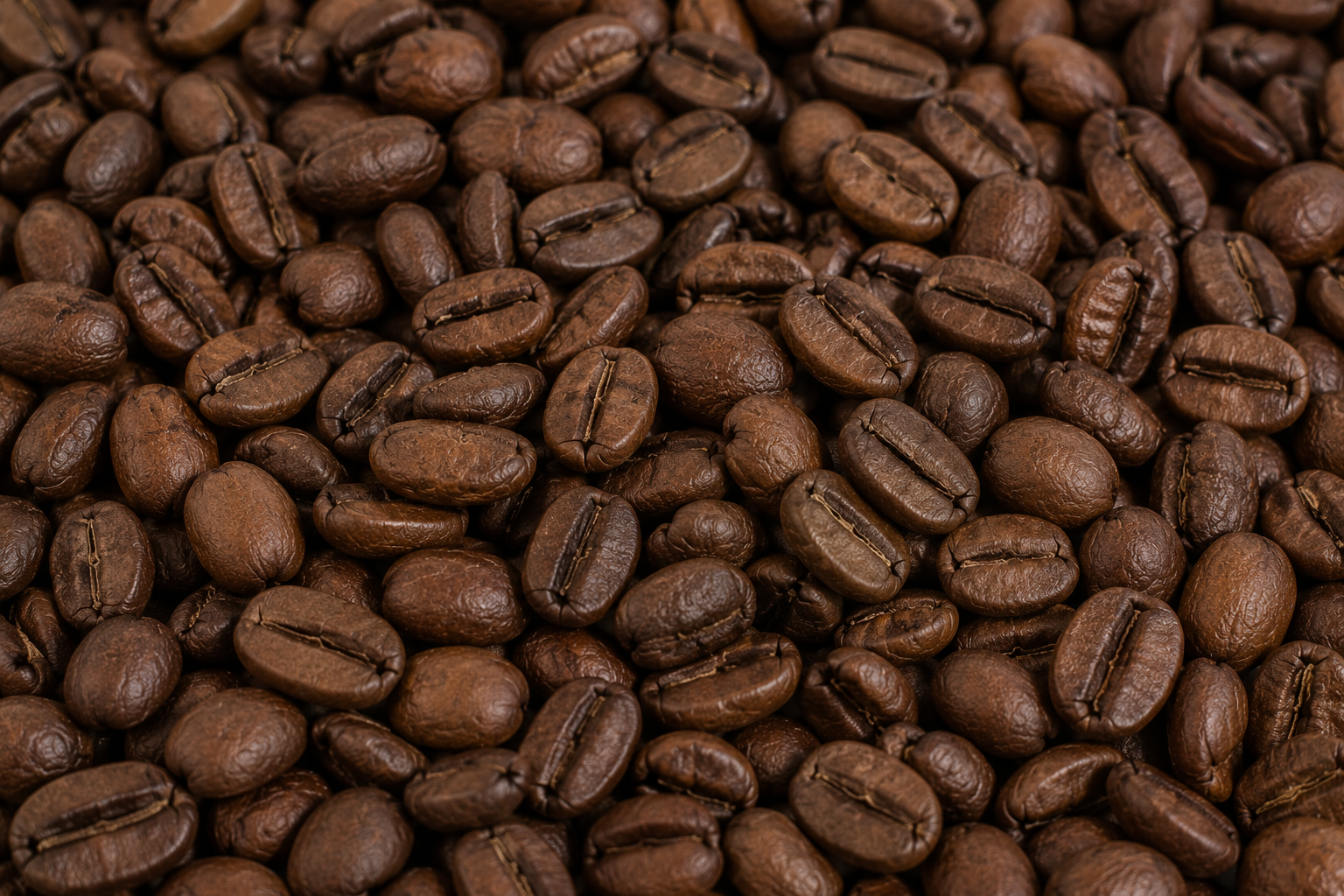 NORTHERN ITALIAN BLEND