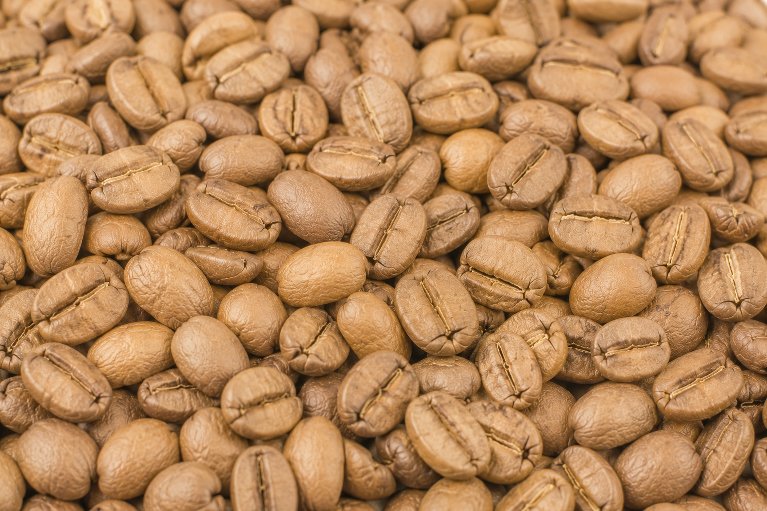 MANILLA STREET BLEND